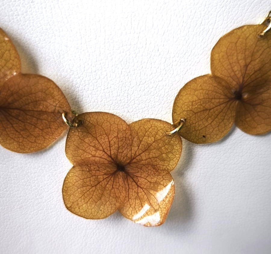 Ámbar